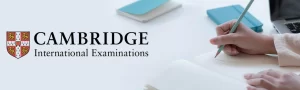 EAL早期卒業対策ガイド：英語力測定試験の完全解説 ～ WIDA・CEFR対応と最短Exit戦略-2